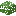 Hojas de acacia