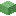 Coral de tubo muerto