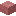 Gorgonia de tubo